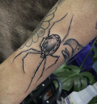 a black spider tattoo on a person's forearm